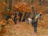 NFTR, 27.11.11