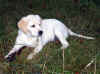 Asta, 20.10.02