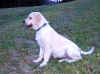 Asta, 17.11.02