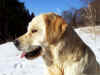 Asta, 23.2.03