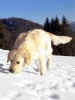 Asta, 23.2.03