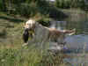 Asta, 7.10.06
