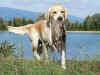 Asta, 7.10.06