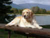 Asta, 8.10.06