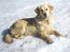Edna, apr.00