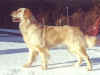 Edna, feb.01
