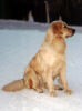 Edna, feb.01