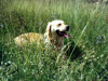 Edna, 15.8.01