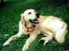 Edna, 2. narodeniny, 10.8.01