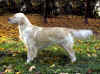 Edna, v Nitre, 3.11.01