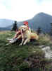 Edna na oproni, Veľk Fatra, 7.9.02