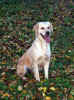 Edna, 23.10.02
