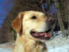 Edna, 23.2.03