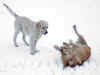 "Sks na chrbte.", 15.12.02