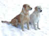 Edna a Asta, 18.1.03