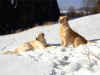 Pod Prietrou, 23.2.03