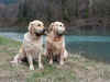 Asta a Edna, 7.4.07