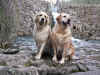 Asta a Edna, 7.4.07