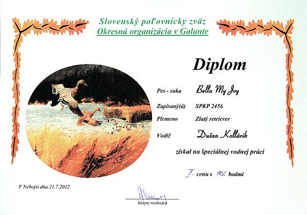 diplom