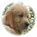 Furio, 10.5.15