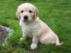 Bessie, 23.7.03