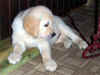 zaduman Bud, 7.8.03