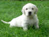 Casper, 11.8.05