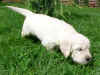 Cathia, 11.8.05
