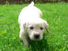 Cindie, 11.8.05