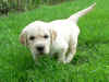 Clea, 11.8.05