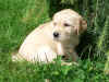 Clif, 11.8.05