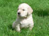 Conny, 11.8.05