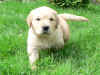 Coudy, 11.8.05